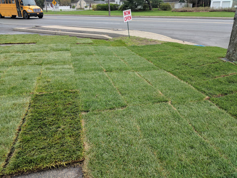 Rolls of Sod