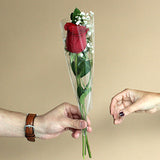 Single red rose wrapped