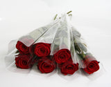 Single red rose wrapped